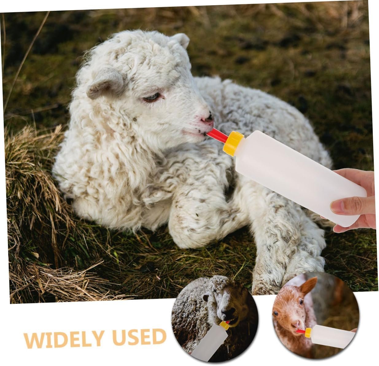 VICASKY 1Set Lamb Feeding Bottle with Pacifiers Reusable Goat Milk Bottle for Calves Lambs Sheep