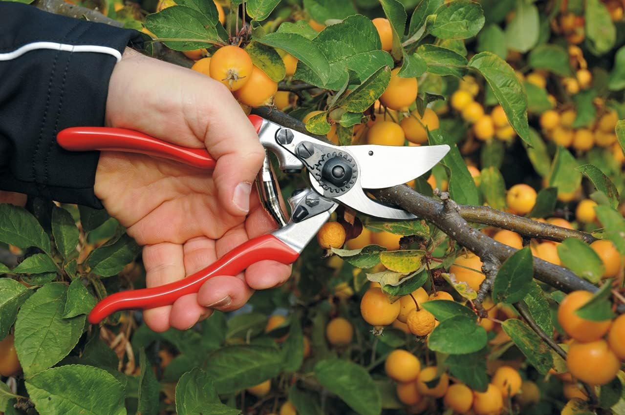 Felco Pruning Shears (F 9) - High Performance Swiss Made One-Hand Left-Handed Garden Pruners