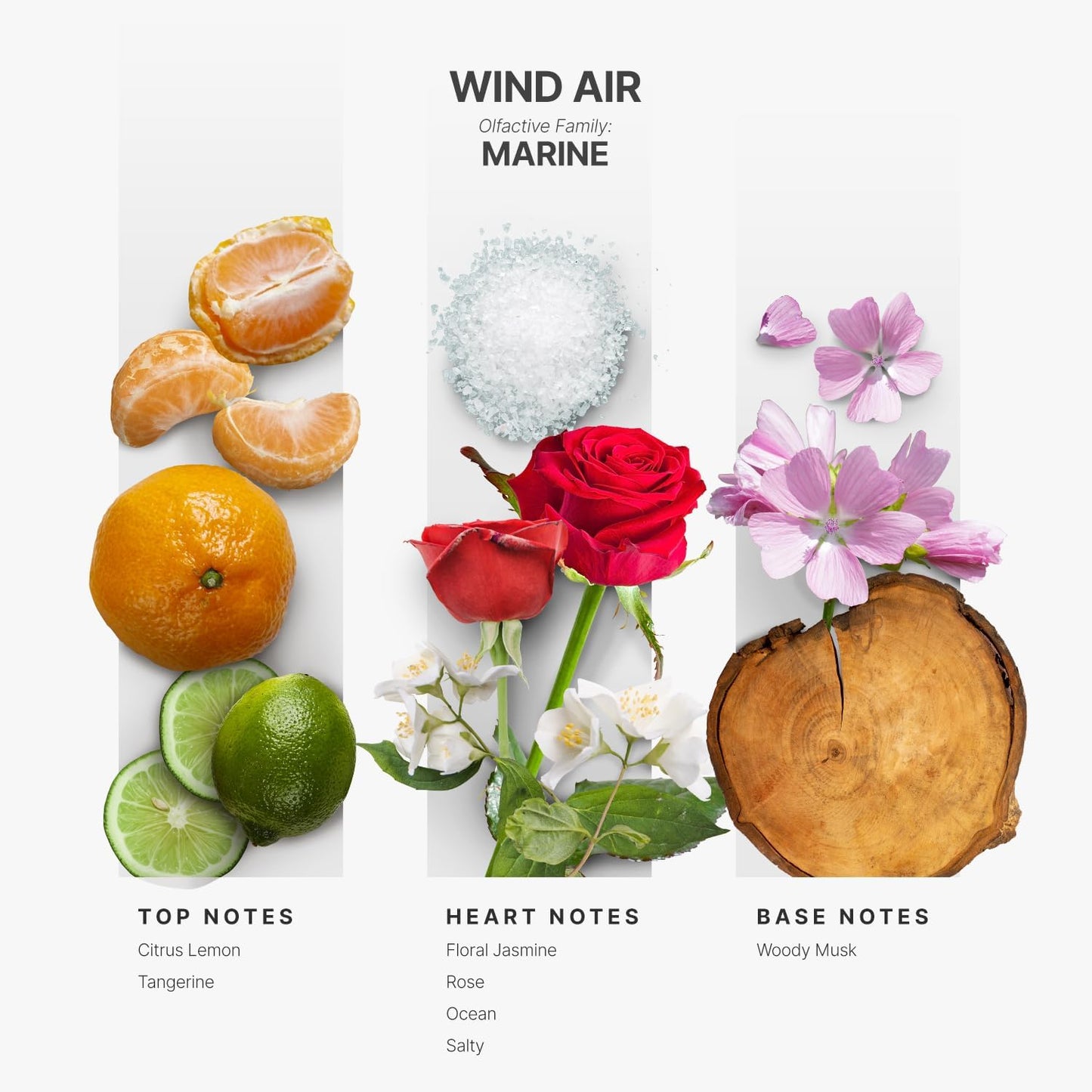 Aromaplan Hotel Scents Wind Air 5 Fl Oz (148ml), Home Luxury Aroma & Hotel Collection Diffuser Oil- Hotel Diffuser Oil for Aromatherapy- USA Made, Bigger Bottle, Bolder Aroma & Longer Lasting