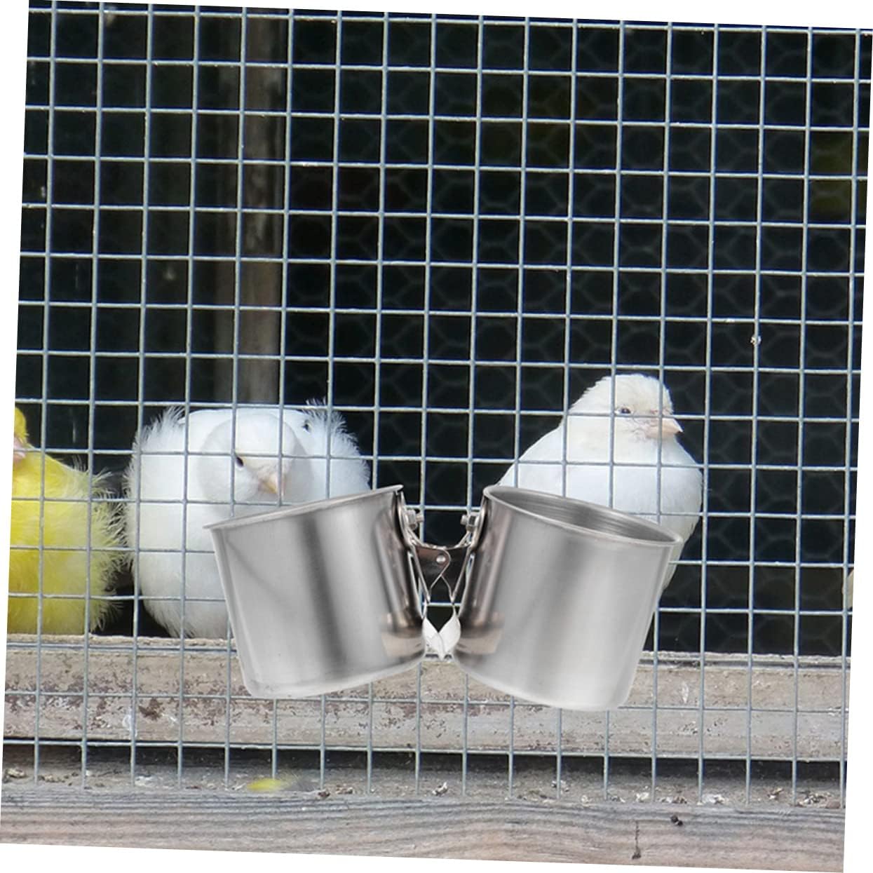 MOBUTOFU 2pcs Stainless Steel Feeder Feeders Food Food Parrot Clamp Cup Bird Feeding and Watering Utensils Bird Water Cups for Cage Parakeet Dispenser Stainless Steel Silver