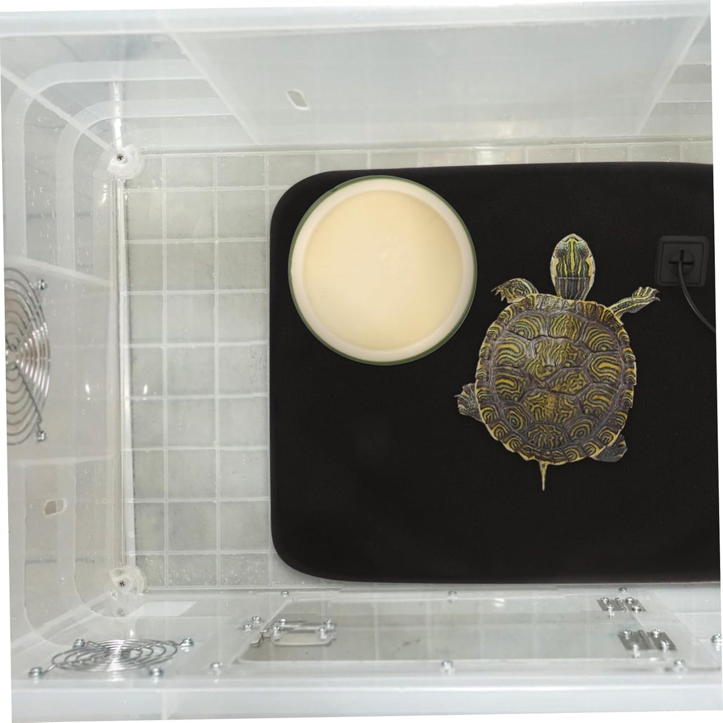 INOOMP Reptile Feeding and Watering Bowl Durable Plastic Reptile Dish with Non Slip Base for Tortoises Lizards and Snakes Easy to Clean Terrarium Accessory for Effortless Maintenance