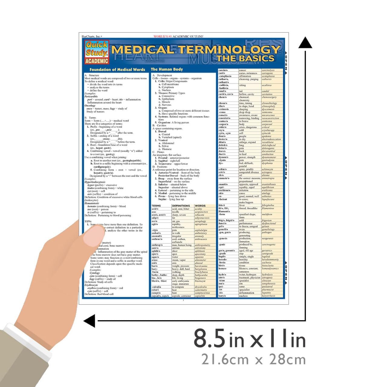 Medical Terminology: The Basics: a QuickStudy Laminated Reference Guide