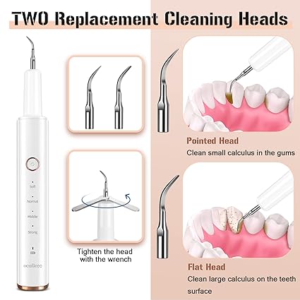 Plaque Remover for Teeth, Electric Tooth Cleaner Tartar Remover for Teeth with LED Light,4 Modes Rechargeable Teeth Cleaning Kit with Dental Tools, 2 Replaceable Heads (White A)