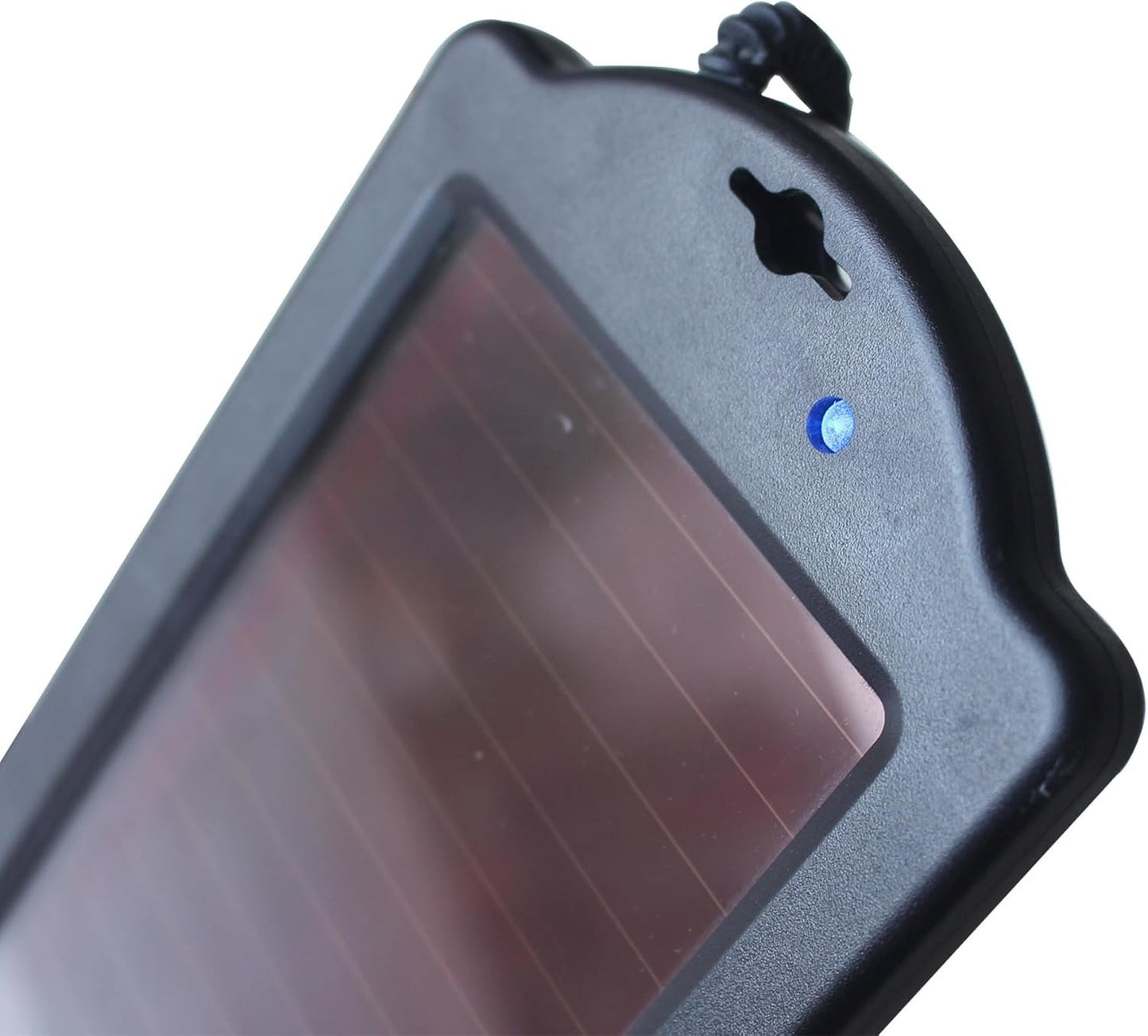 Nature Power 1.5W Solar 12V Battery Maintainer,Black
