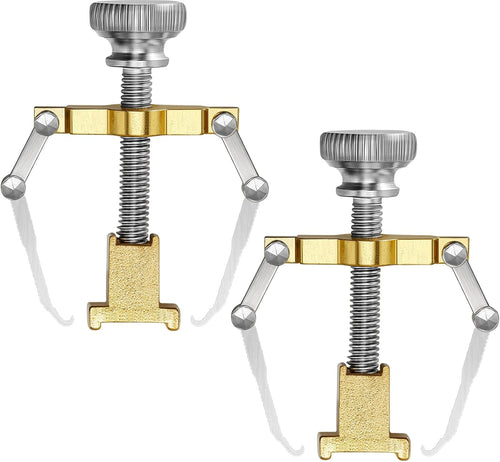 2 Pieces Ingrown Toenail Tool Ingrown Toenail Tool Stainless Steel Toe Cap Foot Care Tool for Paronychia (Gold)