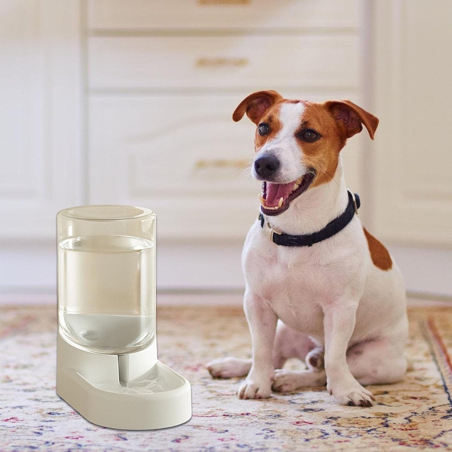 Beimus Set di mangiatoie automatiche e ciotole per acqua e cani di piccola taglia con contenitore trasparente per alimenti per la casa