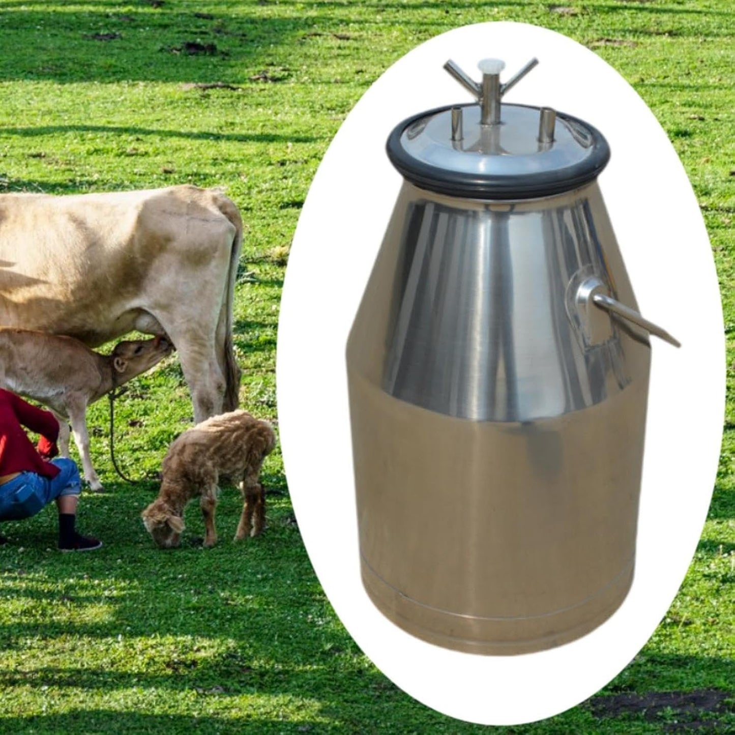 KiBcsLic Milking Machine Bucket Milk Barrel Can,Portable,with Cover,Storage Barrel Stainless Steel for Horse Livestock Cow Equipment
