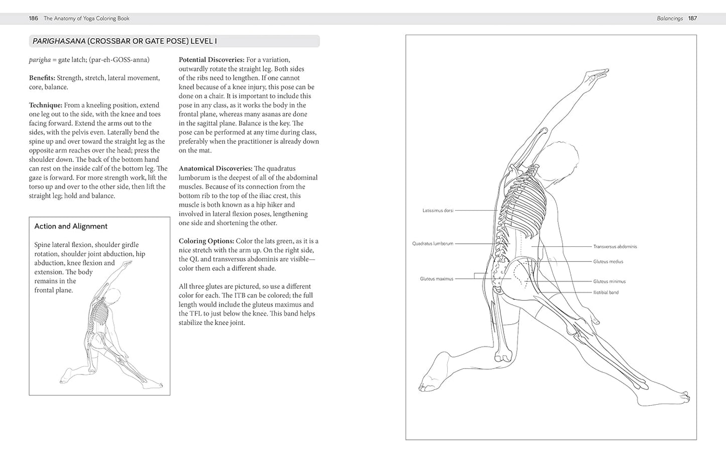 The Anatomy of Yoga Coloring Book: Learn the Form and Biomechanics of More than 50 Asanas