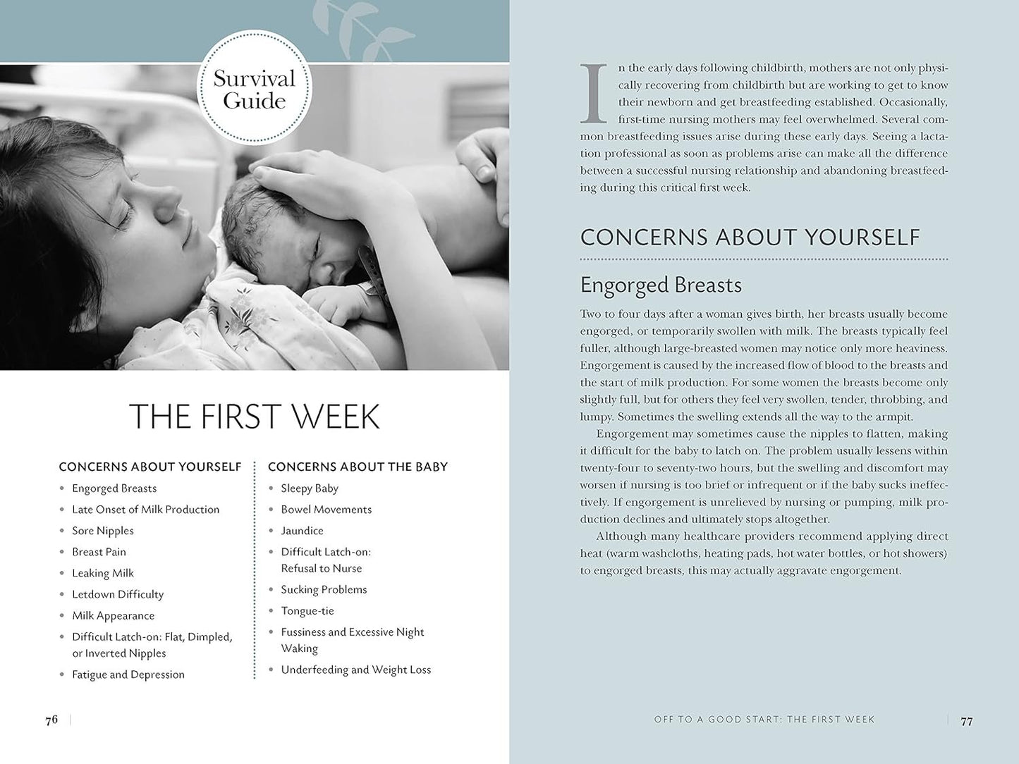 Nursing Mother's Companion 8th Edition: The Breastfeeding Book Mothers Trust, from Pregnancy Through Weaning