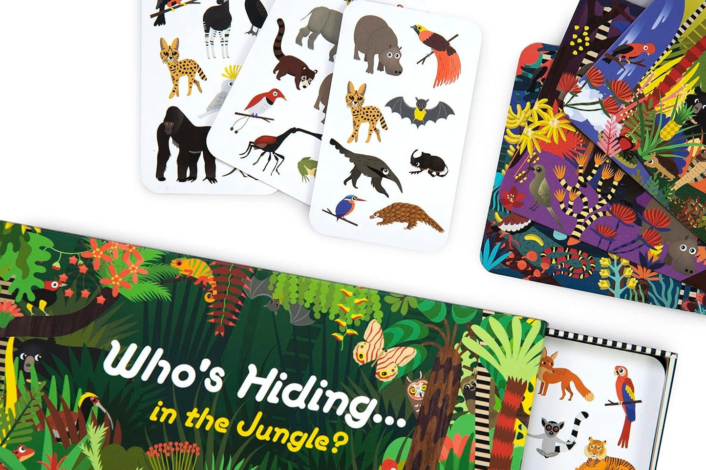 Who's Hiding in the Jungle?: A Spot and Match Game