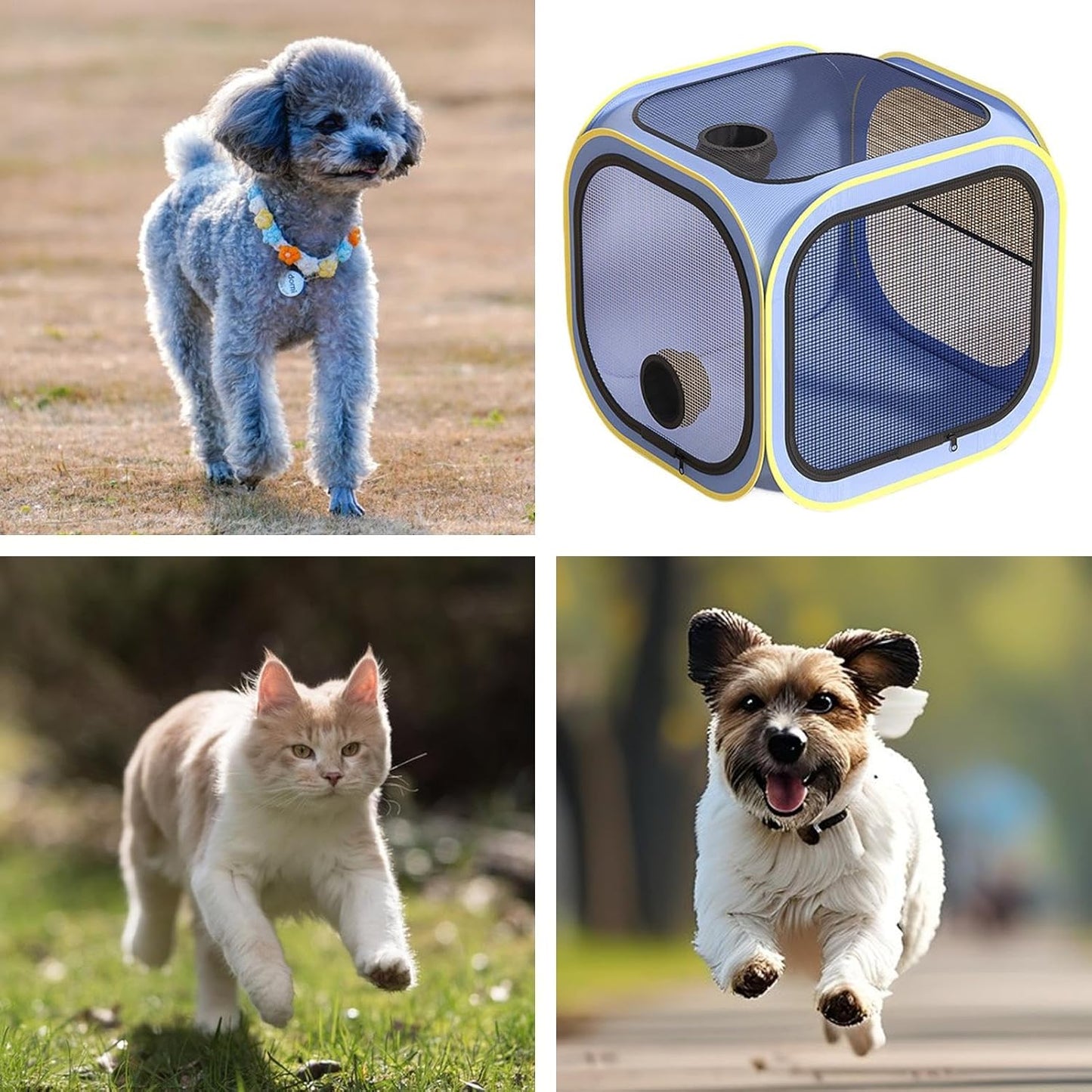 Pet Dryer Box, Portable Drying Crate for Cats Dogs Puppy, Grooming Cage with Anti Hair Flying Design, Ideal Compact Home House Room Carrier for Daily Use Travel Bath Time Care