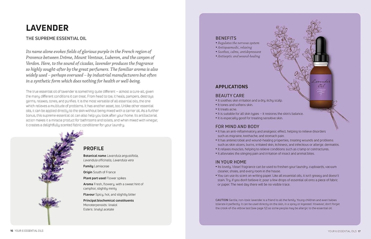 Everyday Essential Oils: 300 Brilliant Reasons to Use Essential Oils Every Day