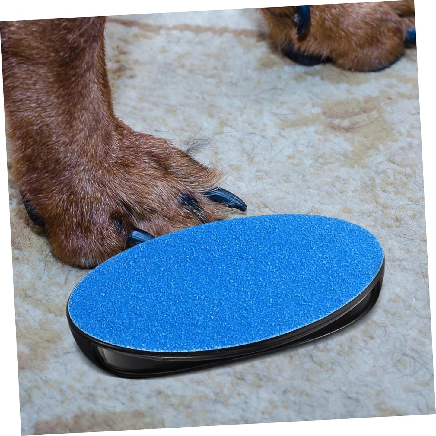 Alasum Versatile Pet Nail Care Tool Dual Use for Dogs Cats Safe Portable Nail File