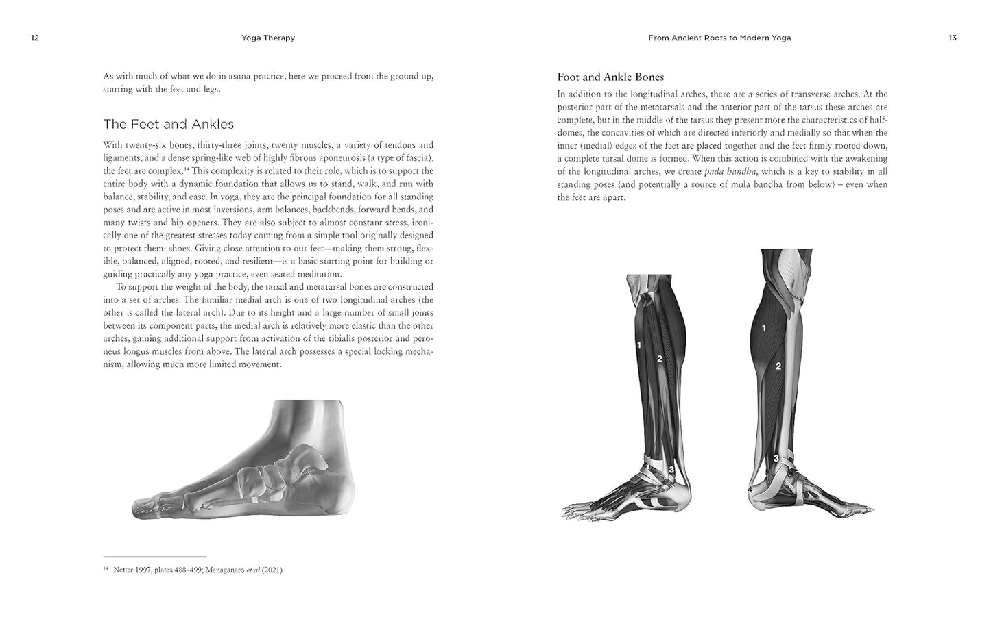 Teaching Yoga, Second Edition: A Comprehensive Guide for Yoga Teachers and Trainers: A Yoga Alliance-Aligned Manual of Asanas, Breathing Techniques, Yogic Foundations, and More