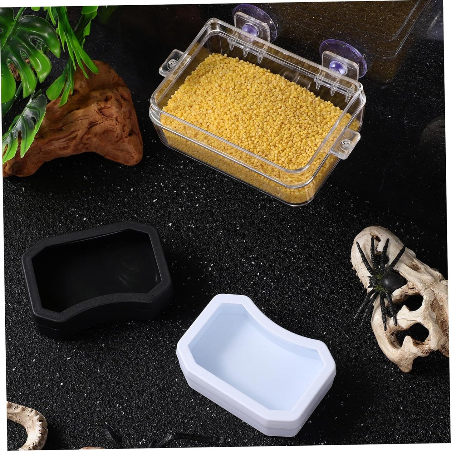BCOATH 2Pcs Reptile Feeder Cup and Water Dish Escape Feeding Bowl with Transparent Design for Lizard Bearded Dragon Gecko for Watering and Feeding Reptiles