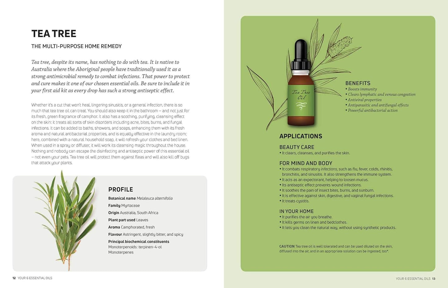 Everyday Essential Oils: 300 Brilliant Reasons to Use Essential Oils Every Day