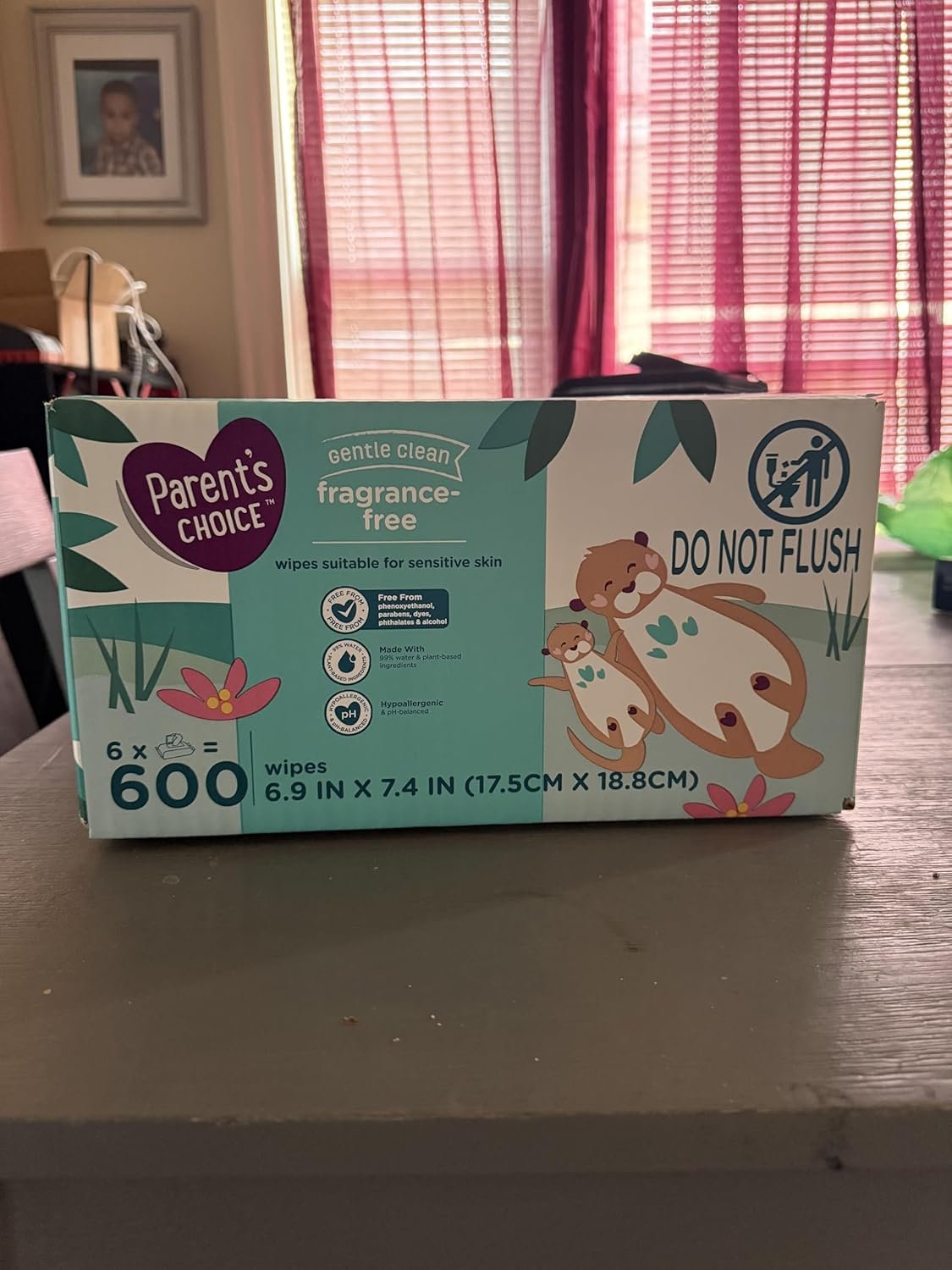 Parent's Choice Fragrance Free Baby Wipes, 600