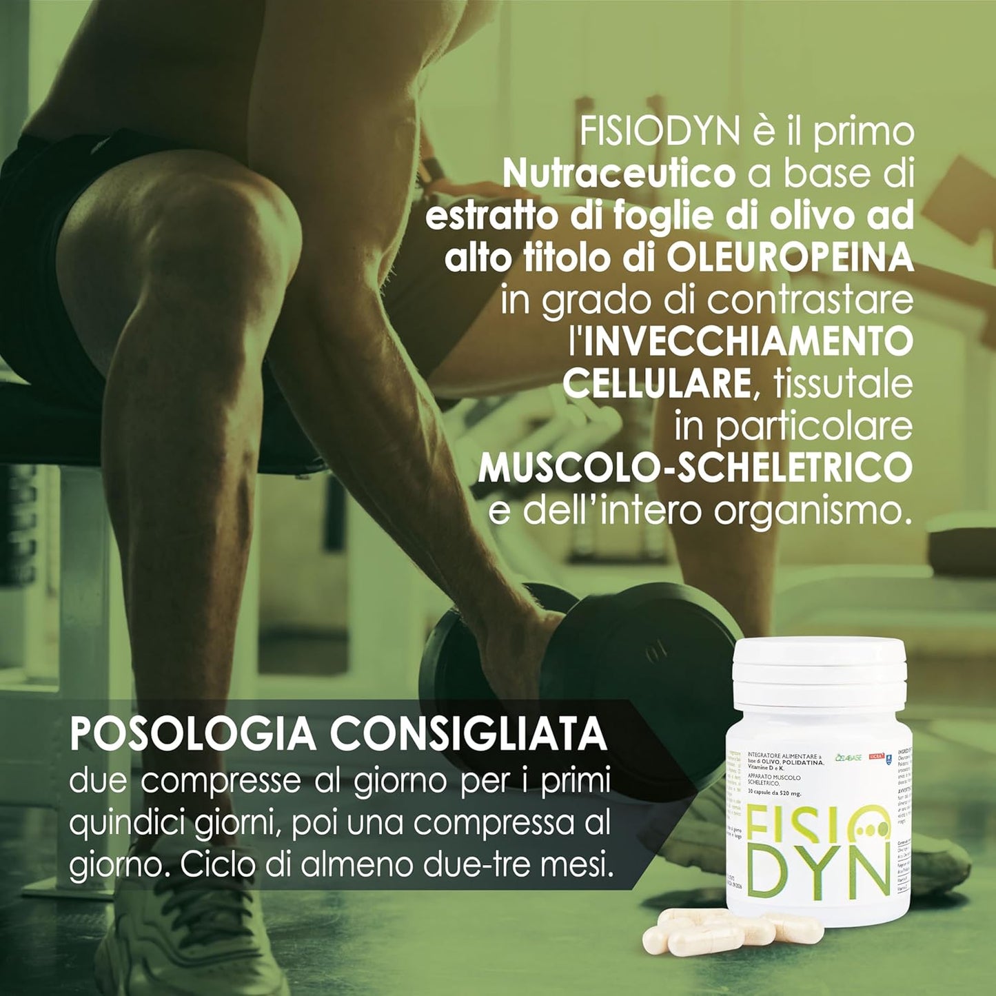 Dietary supplement based on oleuropein, polydatine, vitamins D and K. Development maintenance muscle recovery powerful anti-aging anti-aging action Sarcopenia