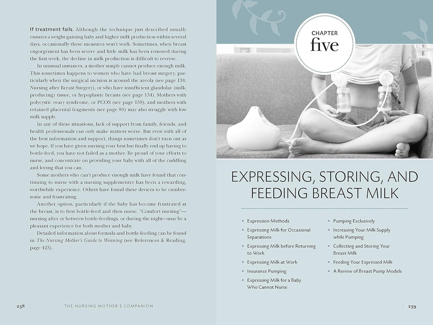 Nursing Mother's Companion 8th Edition: The Breastfeeding Book Mothers Trust, from Pregnancy Through Weaning
