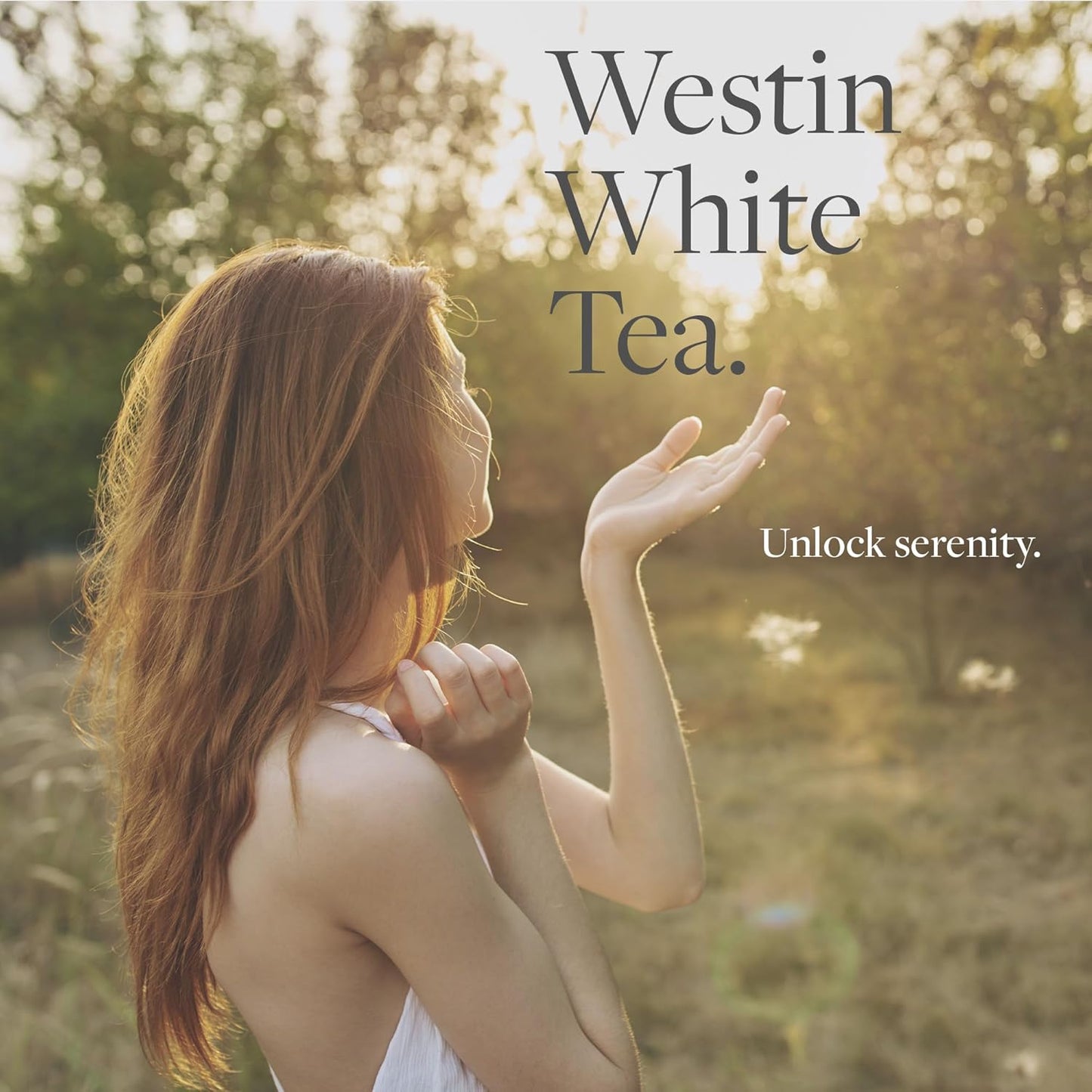 Westin White Tea Home Diffuser - Scent Machine with Refill Cartridge - Air fresheners for Home - Signature White Tea Scent