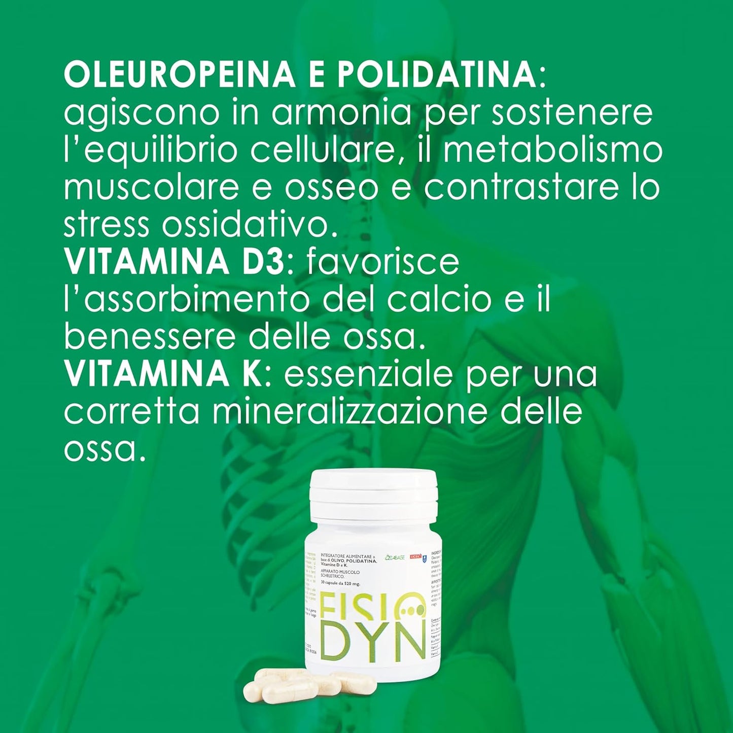 Dietary supplement based on oleuropein, polydatine, vitamins D and K. Development maintenance muscle recovery powerful anti-aging anti-aging action Sarcopenia