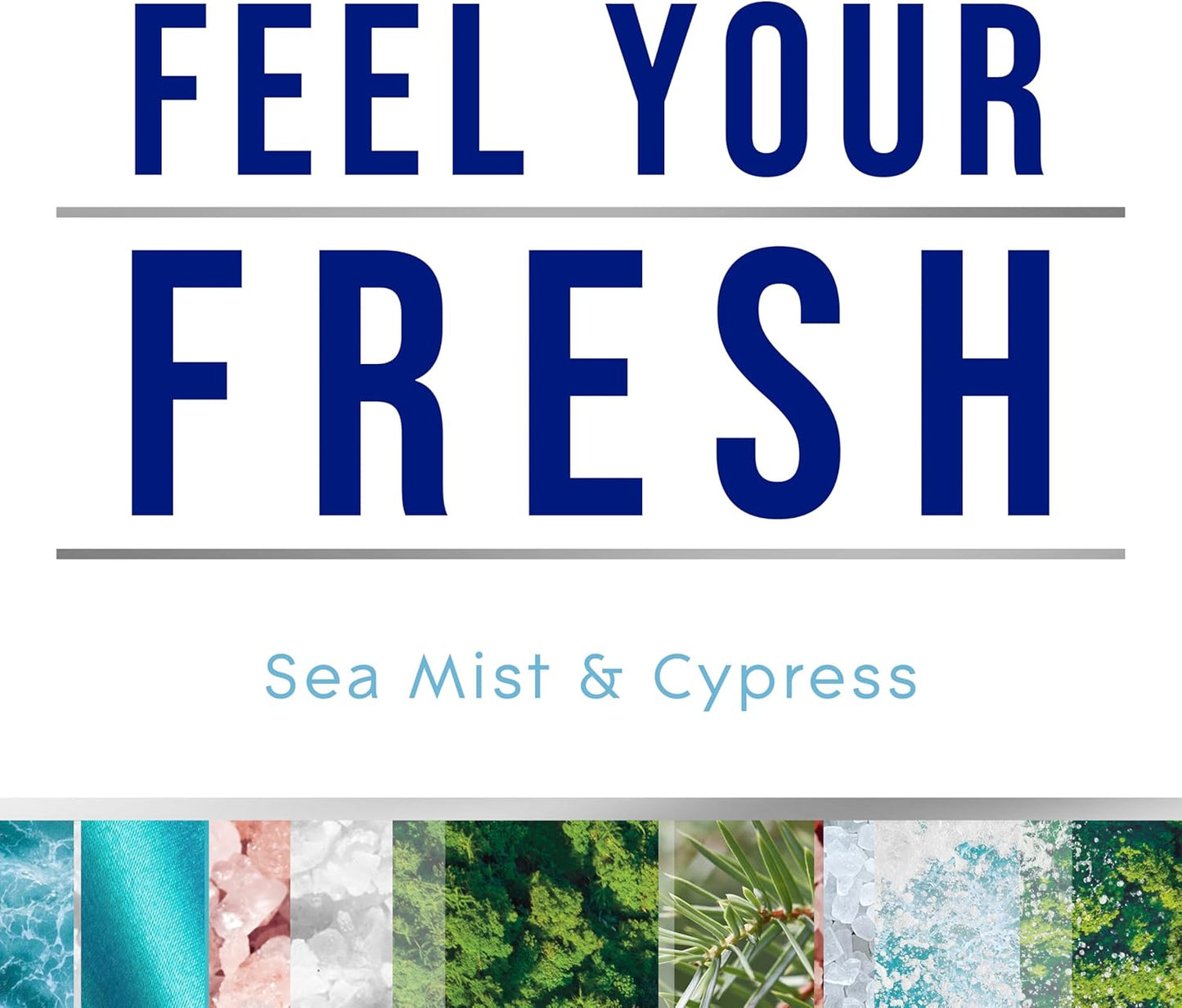 Glade PlugIns Refills Air Freshener, Sea Mist & Cypress, Scented and Essential Oils for Home and Bathroom, 0.67 Fl Oz, 10 Count