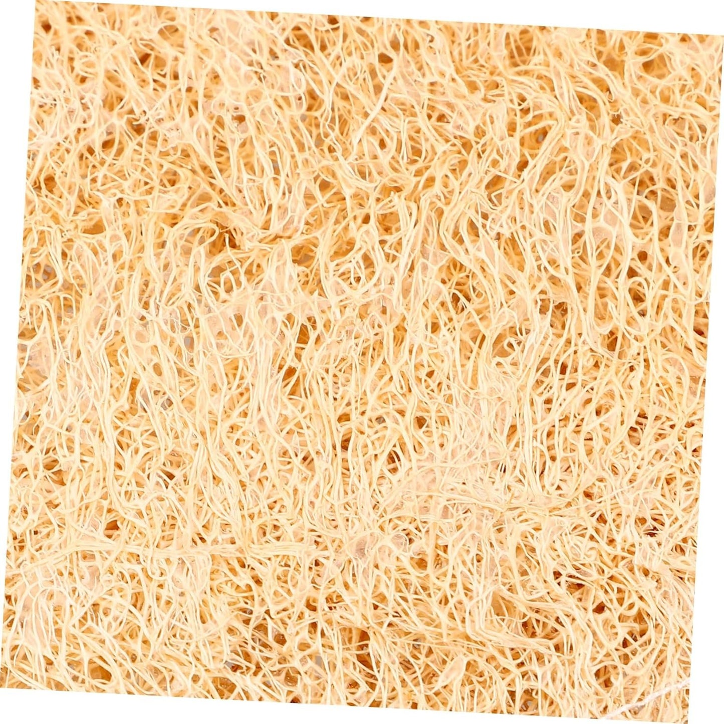 FOMIYES Kitchen Loofah Scrubber Thickened Dish Washing Sponge for Versatile Kitchen Bathroom Durable Loofah