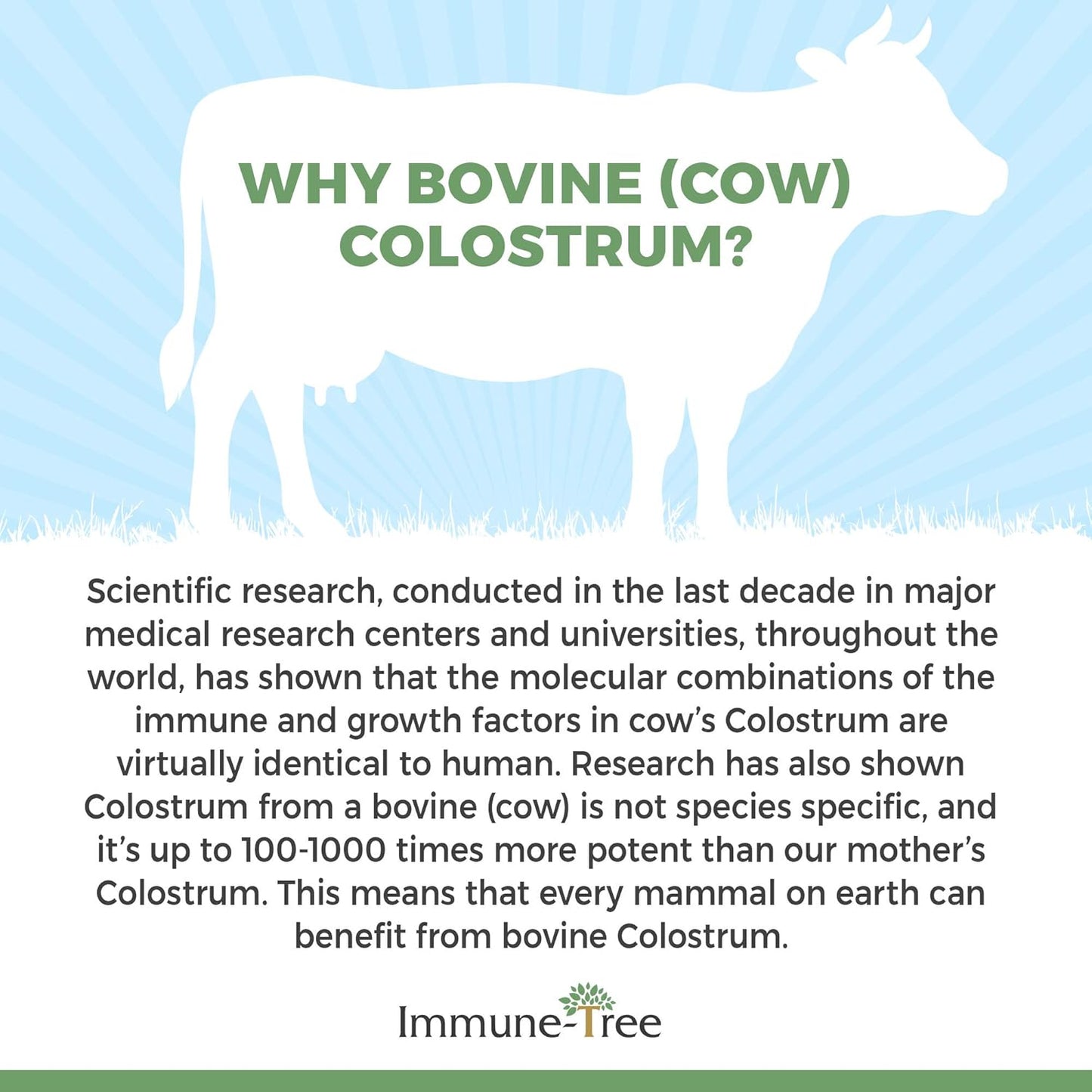 100% Bovine Colostrum Powder, 120 Servings, 6.5oz, Supports Anti-Aging, Healthy Immune System, Gut & Digestion, Muscle & Tissue, & Wellness, Made in USA from Grass Fed, Grade A Dairy Cows