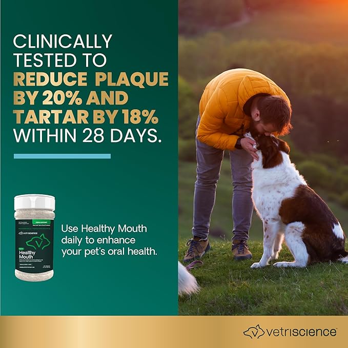 VetriScience Healthy Mouth Dog Dental Powder, Perio Support Clinically Tested Dental Powder for Dogs and Cats, Freshen Breath, Control Plaque & Tartar, Oral Health, 4.2 oz