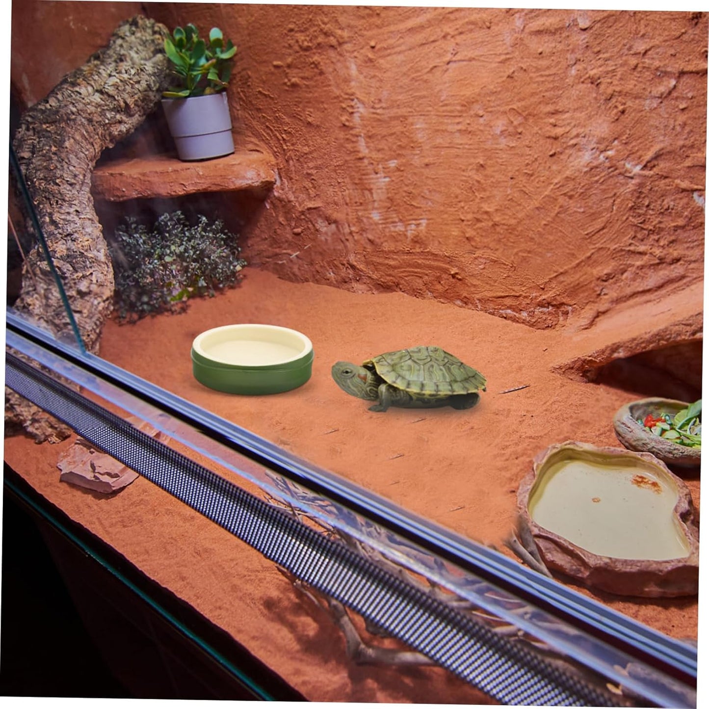 INOOMP Reptile Feeding and Watering Bowl Durable Plastic Reptile Dish with Non Slip Base for Tortoises Lizards and Snakes Easy to Clean Terrarium Accessory for Effortless Maintenance