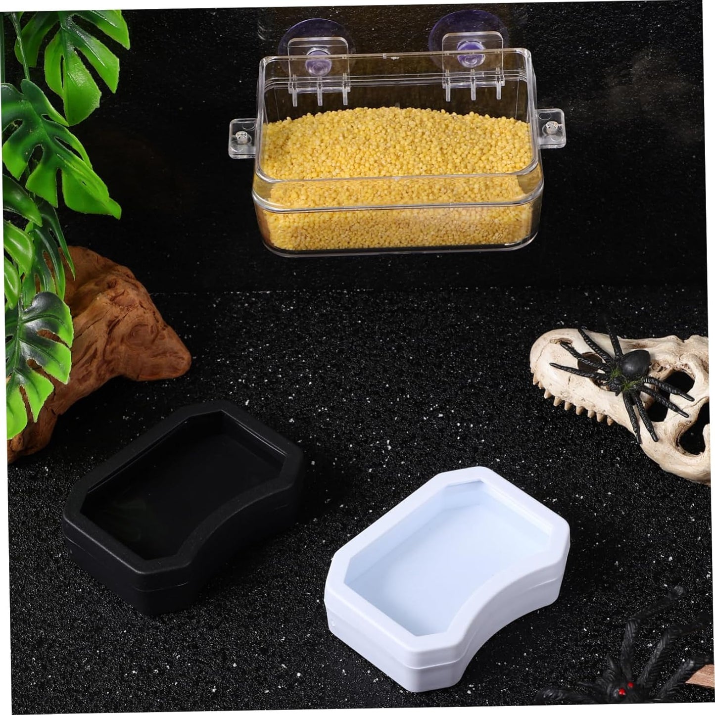 BCOATH 2Pcs Reptile Feeder Cup and Water Dish Escape Feeding Bowl with Transparent Design for Lizard Bearded Dragon Gecko for Watering and Feeding Reptiles
