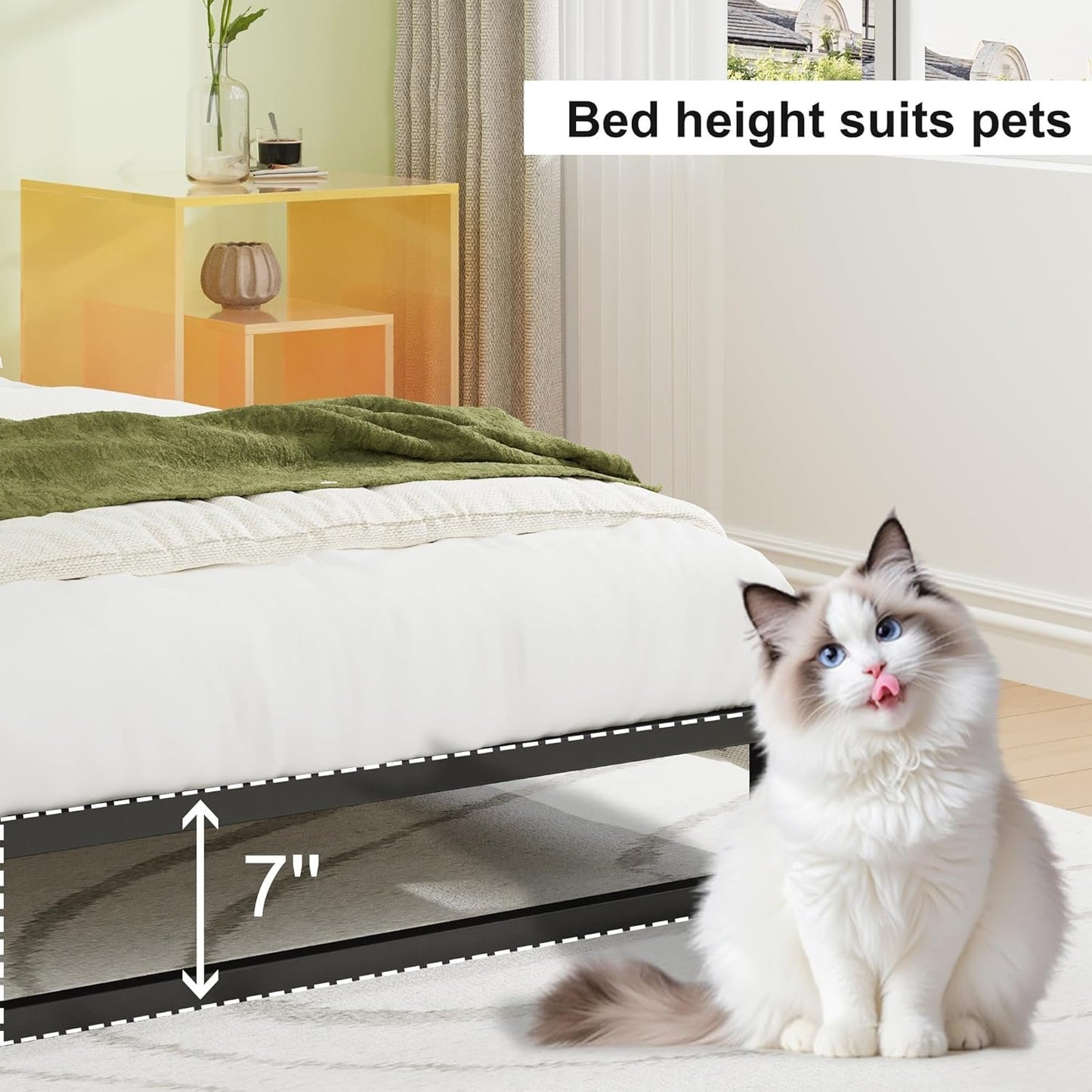 EMODA 7 Inch Queen Bed Frame No Box Spring Needed Heavy Duty Metal Platform BedFrame Queen Size with Steel Slats, Easy Assembly, Black
