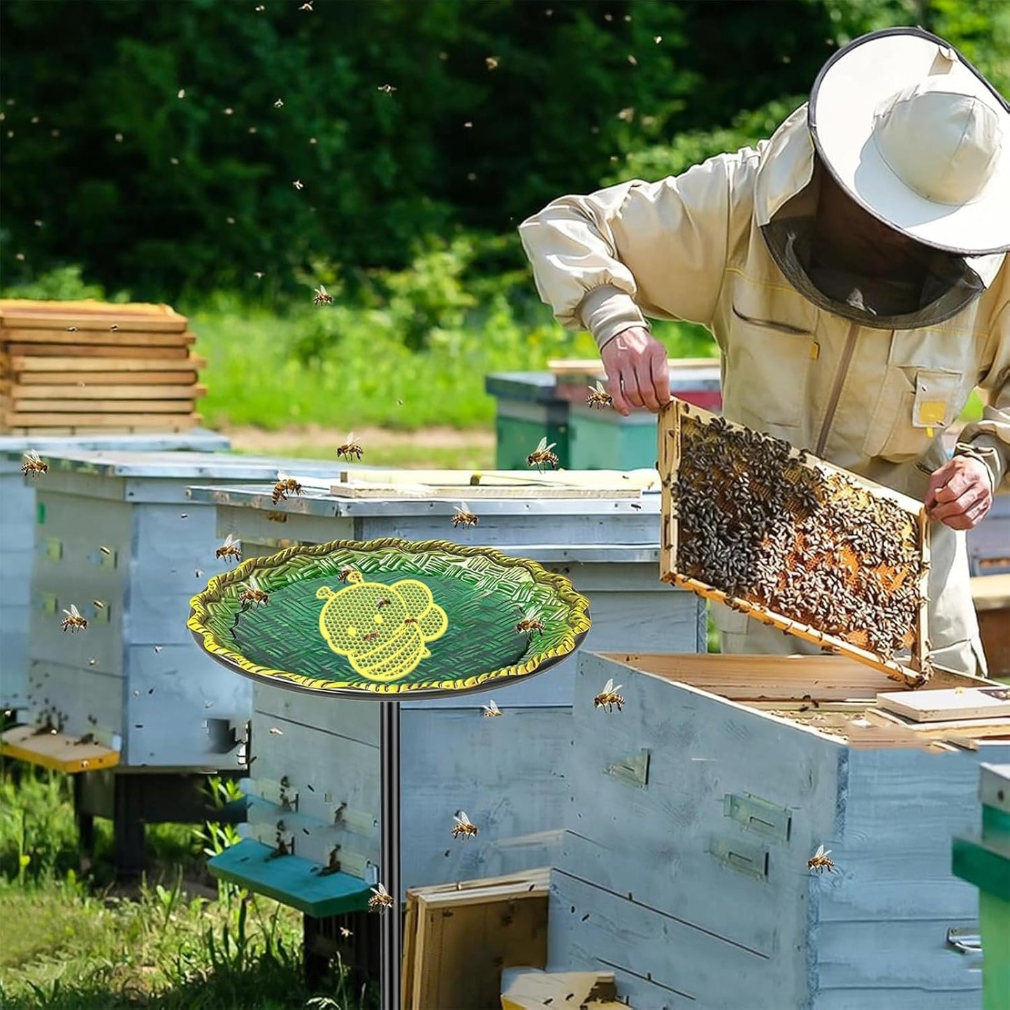 Bees Waterer Butterfly Feeder Enhances Garden Ecosystem and Attracts Beneficial Insectas for Bees Feeding and Watering