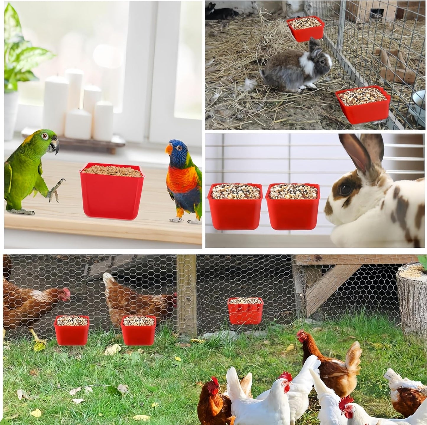 6 Pack Hanging Cage Bird Cups, Chicken Cage Seed Bowl,Plastic Bird Coop Trough, Hanging Feeding Cups Chicken Coop Supplies, Small Animal Feeder for Gamefowl Parrot Parakeet Poultry