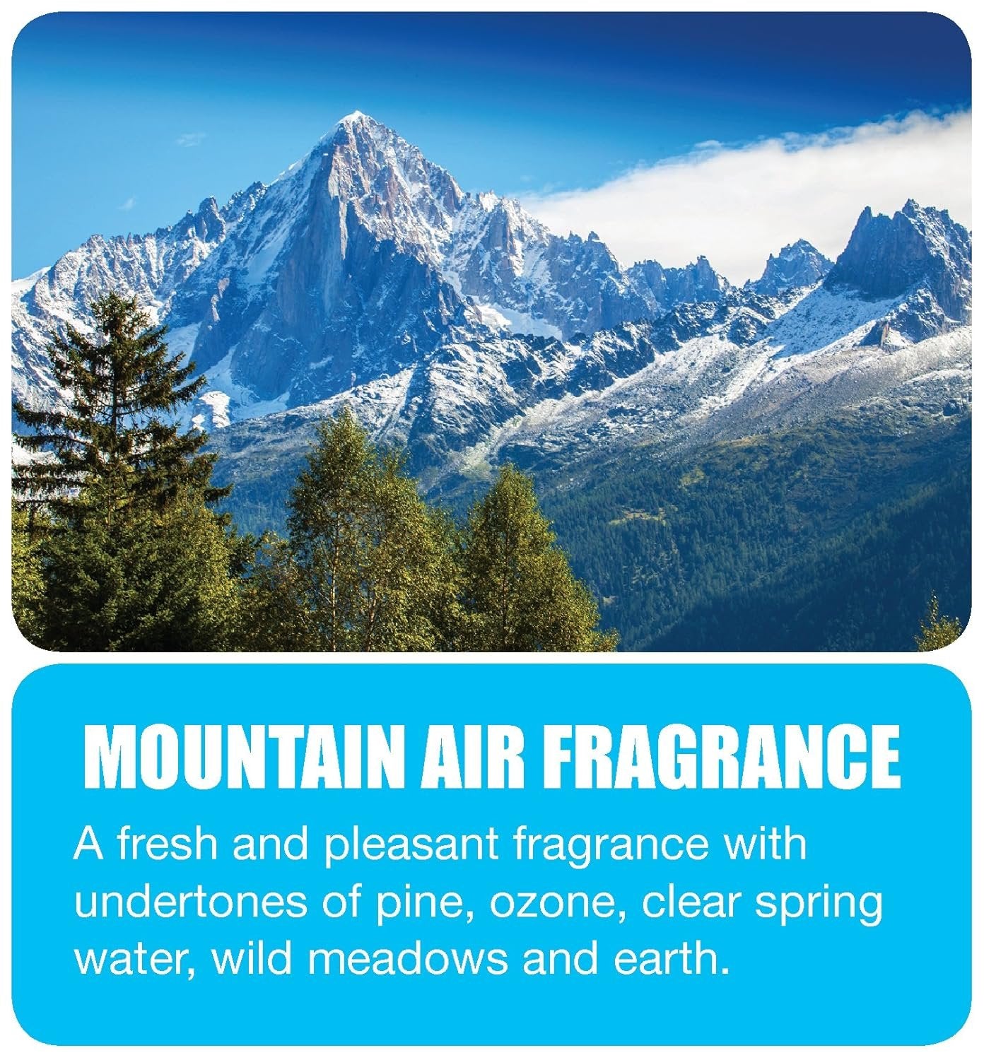 Big D 344 Odor Control Fogger, Mountain Air Fragrance-Kills odors from fire, flood, decomposition, skunk, cigarettes, musty smells-Ideal for use in cars, property management, hotels,5 oz (Pack of 12)