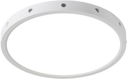 Dabulece 12 Inch 24W Flush Mount led Ceiling Light fixtures,3000K 4500K 6000K Modern Ceiling Lamp for Bedroom Boys Room