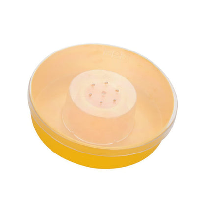 Toddmomy 2 Pezzi Mangiatoia Per Api Foraggio Alimentatore Piatto Di Cibo Per Api Ciotola D'acqua Di Api Ciotola Rotonda Per L'acqua Delle Api Custodia Cibo Per Le Api Superiore Giallo