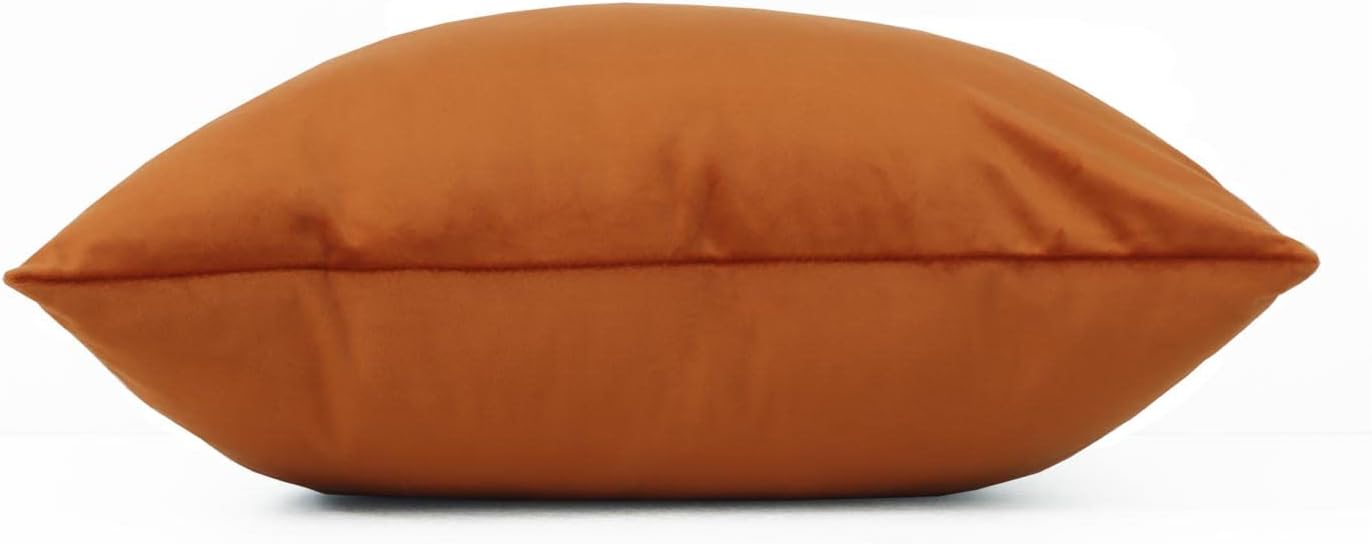 Cyuripu Set of 2 Velvet Burnt Orange Throw Pillow Covers 18 x 18 Inch Decorative Square Pillowcases Soft Cozy Cushion Cases for Couch Sofa Bedroom Living Room Home Decor 45 x 45 Cm