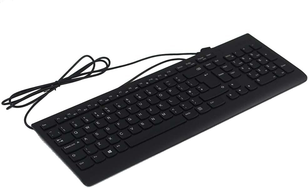 Lenovo 4Y50R20863 Essential USB Mouse and Lenovo 300 USB Keyboard (GX30M39655) | Wired Ergonomic Bundle