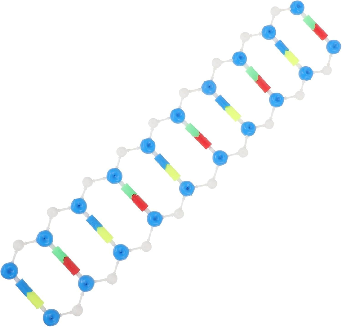 HOOTNEE 2pcs DNA Model Kit Double Helix Learning Tool for Science Education Student's Teaching Aid