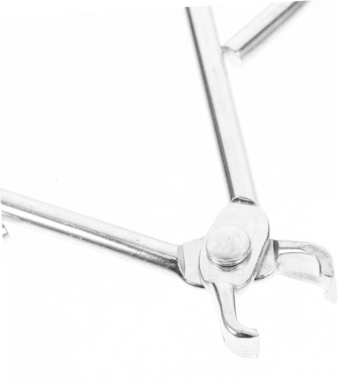 PartyKindom Clip di pinoli Macadamia Apri Pesante Utensili Cucina Utensili per Cucina Gadget Cucina Strumento per pinoli Resistente all'Usura Accessorio per la casa Acciaio Inossidabile
