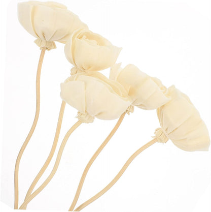 GLEAVI 10Pcs Flower Diffuser Sticks Dried Aromatherapy Sticks for Home Fragrance Sticks for Essential Oil Diffuser Decor Kitchen Bedroom Living