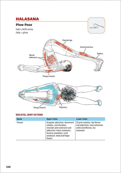 Yoga Anatomy