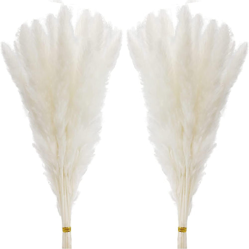 60 Pcs White Pampas Grass,17 inch/45 cm Natural Dried Pampas Grass Branches Decor for Home Kitchen Garden Party Photographing Flower Arrangement Vase Decor