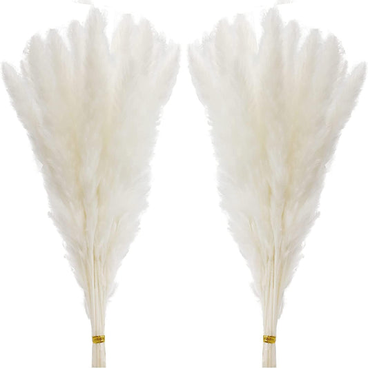 60 Pcs White Pampas Grass,17 inch/45 cm Natural Dried Pampas Grass Branches Decor for Home Kitchen Garden Party Photographing Flower Arrangement Vase Decor