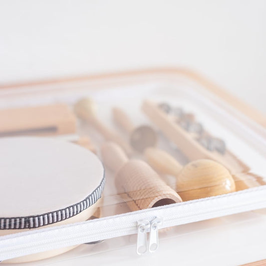 Maple & Lark Bliss Bins - Hard Sided Clear Zipper Case for Storage - Professional-Grade Plastic Clear Zipper Pencil Case, Toiletry Pouch, Travel Organizer, Cosmetic Bag, Toy Storage Bins (2 Pack, L)