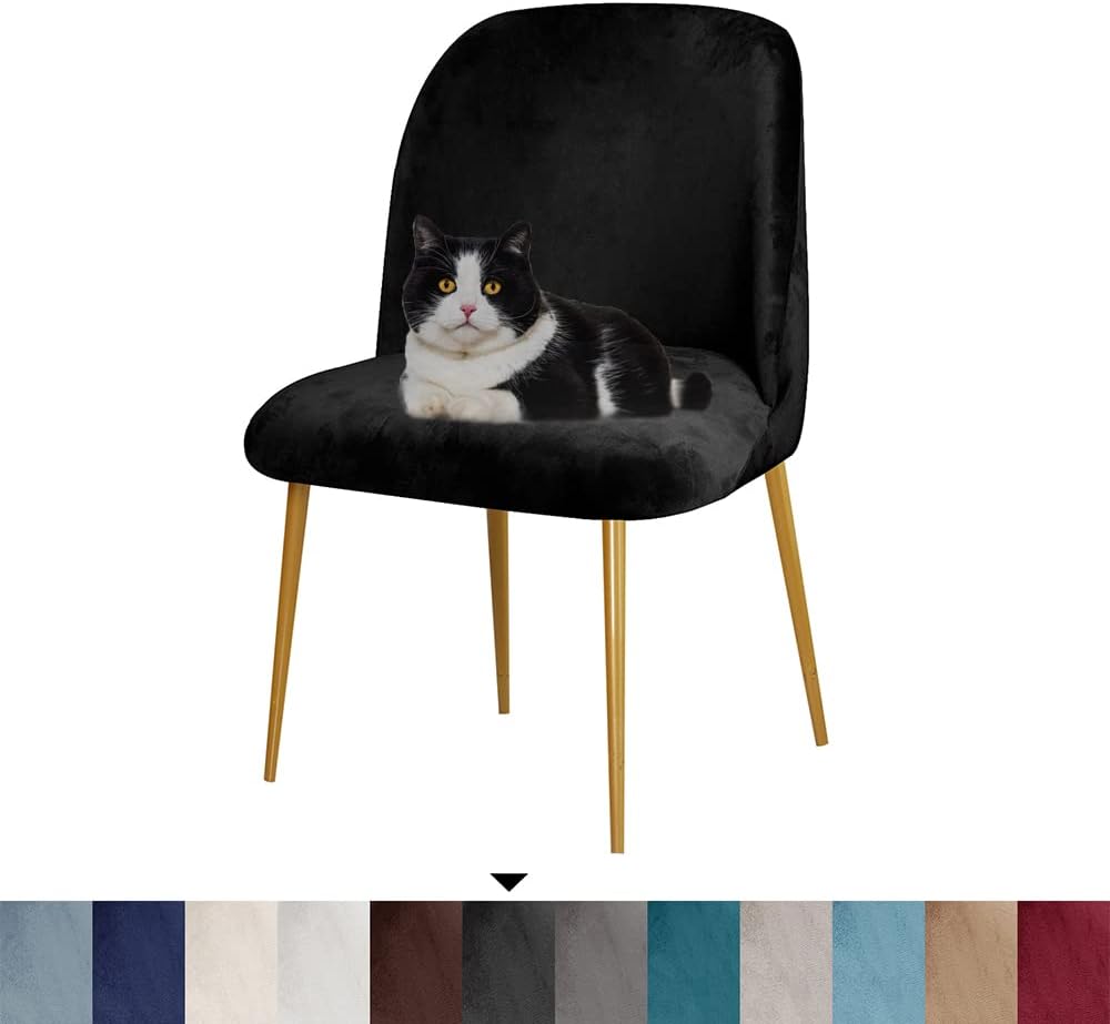 GAWEKIQE Curved Short Back Black Armless Accent Chair Slipcover Velvet Upholstered Side Dining Room Chair Cover for Home Decor Living Room Ceremony Set of 2