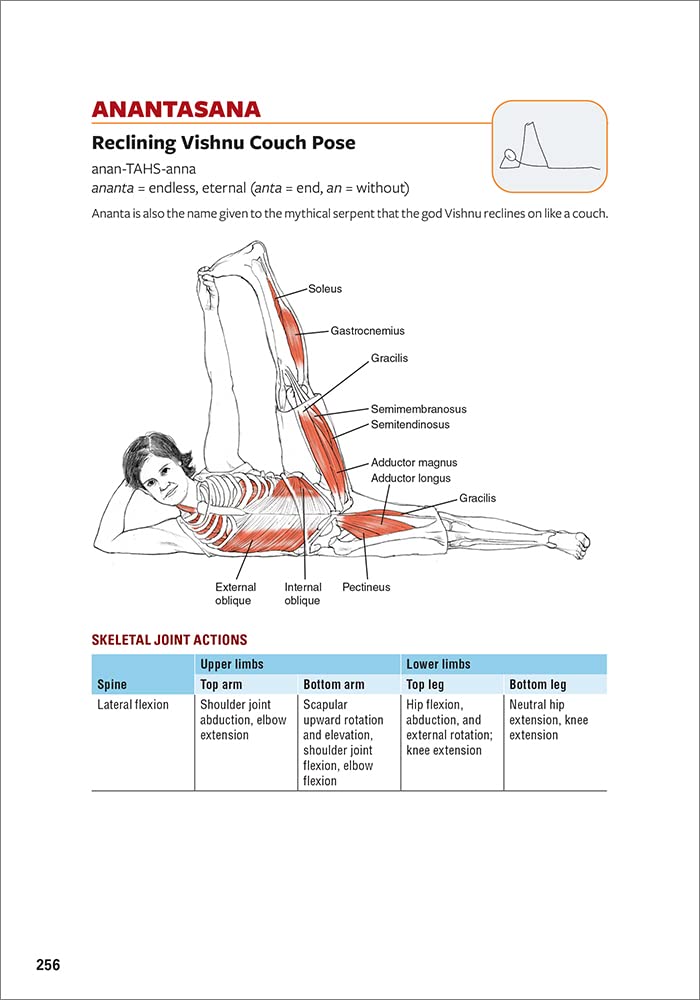 Yoga Anatomy