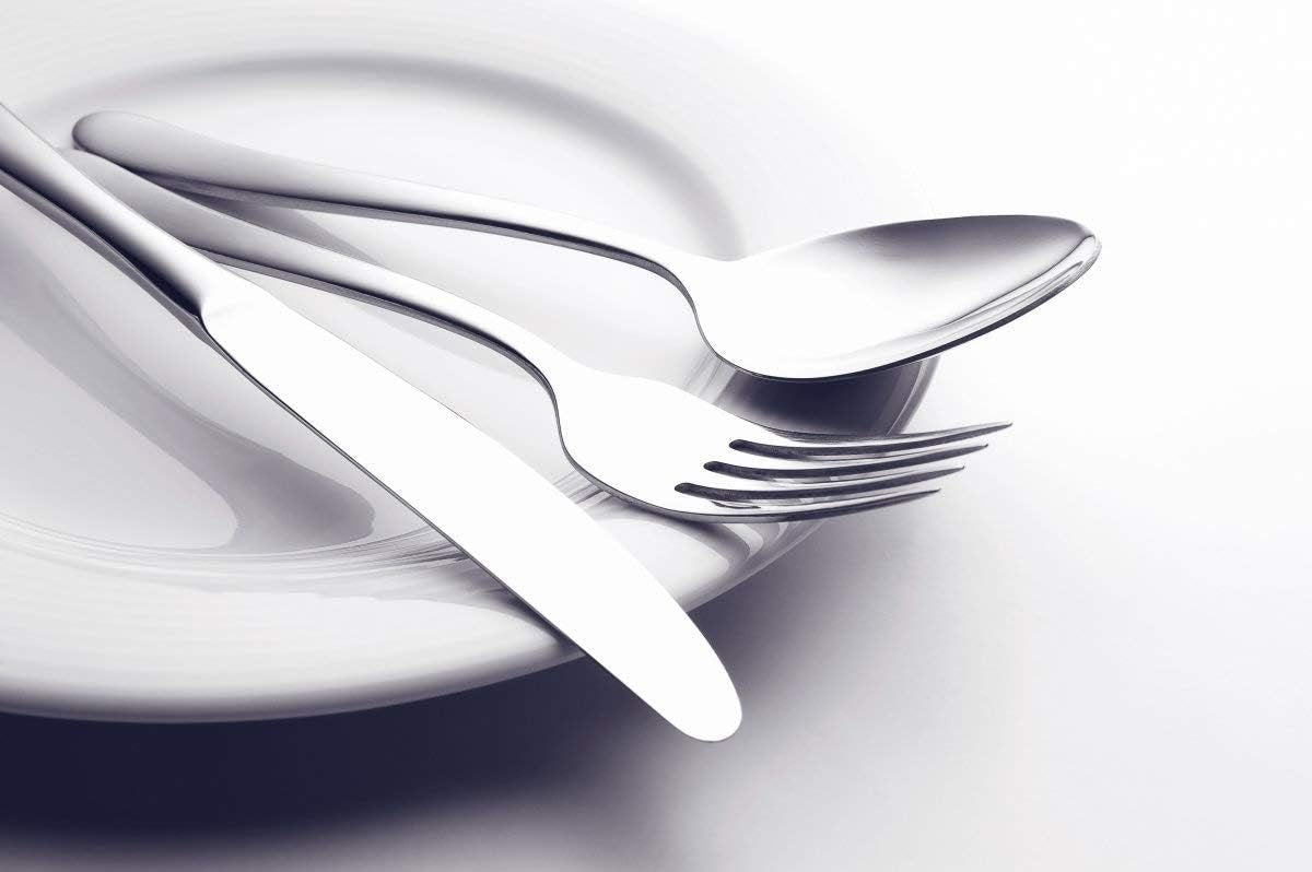Flatware Set, 20-Piece Elegant Silverware Cutlery Set, Stainless Steel Utensils Service for 4, Include Knife/Fork/Spoon, Mirror Polished, Dishwasher Safe