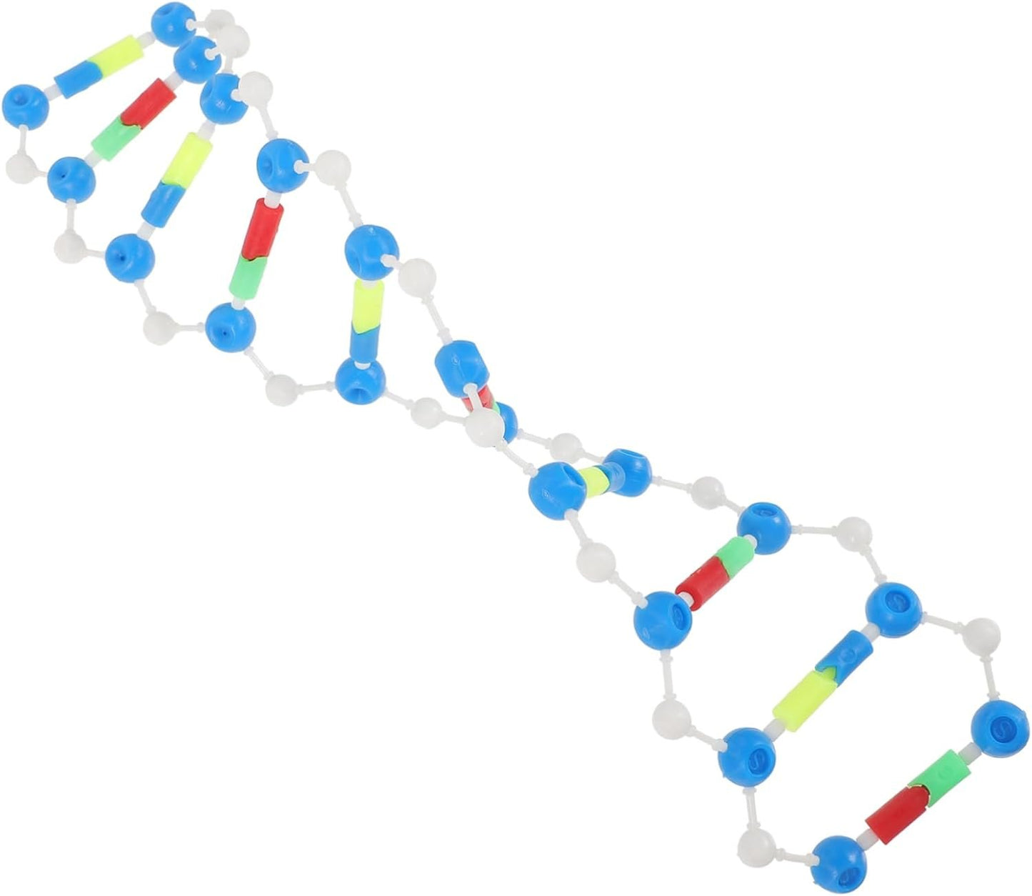 HOOTNEE 2pcs DNA Model Kit Double Helix Learning Tool for Science Education Student's Teaching Aid